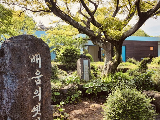A Poignant Tribute to Jeju's Soulful Landscapes