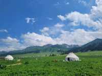 Green grasslands at Nalati Grassland