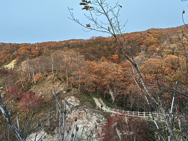 ♨️登別地獄谷秋色絕美|Oyunuma Nature Trail & Lookout ♨️登別地獄谷秋色絕美|Oyunuma Nature Trail & Lookout