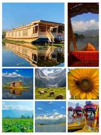 🌿 Hidden Gems of Kashmir – Beyond the Usual! ❄️🏔️