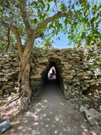 Curious Tracks and New Views at Tren Maya in Cancún