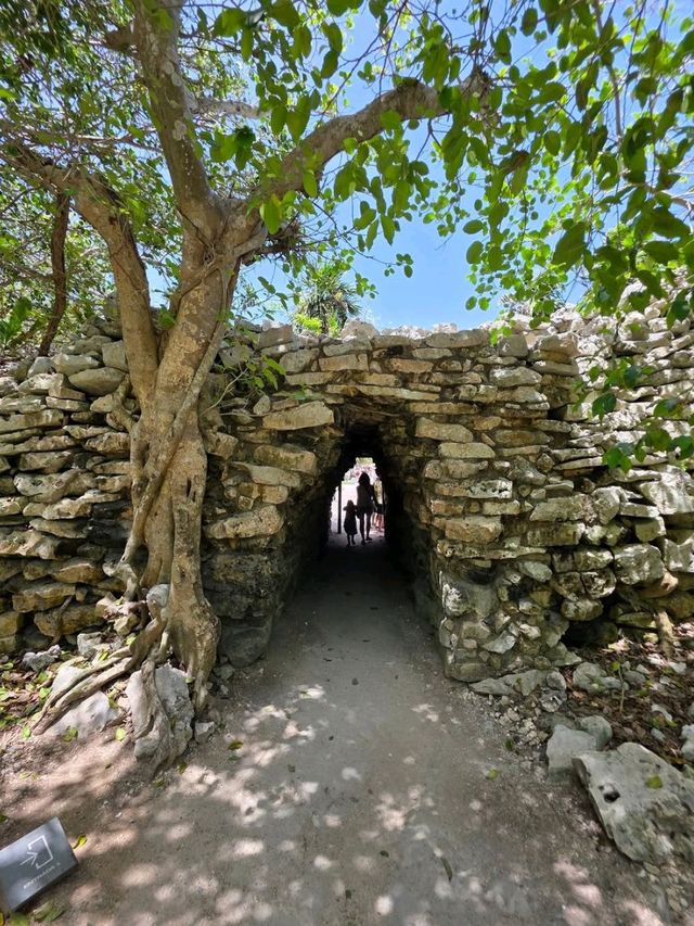 Curious Tracks and New Views at Tren Maya in Cancún
