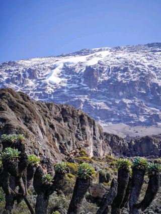 Mount Kilimanjaro – “Africa’s Roof, One Step at a Time”