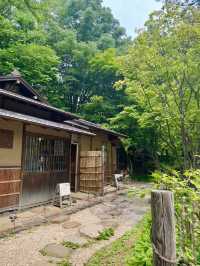 🌳 삿포로 나카지마 공원 산책기 🍃🐦🧺