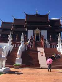 อุทยานหลวงราชพฤกษ์ @เชียงใหม่