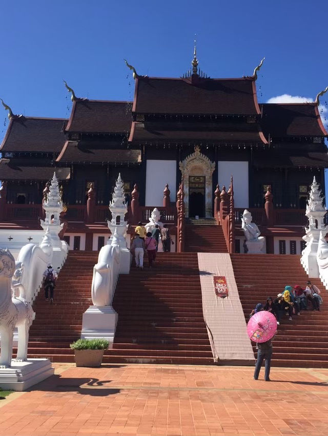 อุทยานหลวงราชพฤกษ์ @เชียงใหม่ อุทยานหลวงราชพฤกษ์ @เชียงใหม่