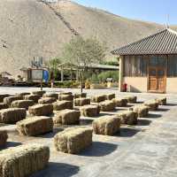 A Desert Park Like No Other 