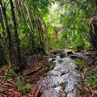 Bako National Park, Sarawak
