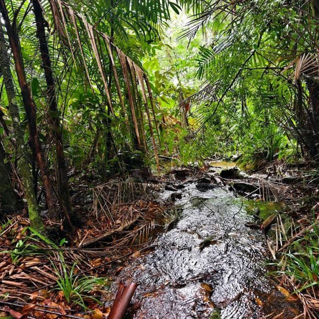 Bako National Park, Sarawak Bako National Park, Sarawak