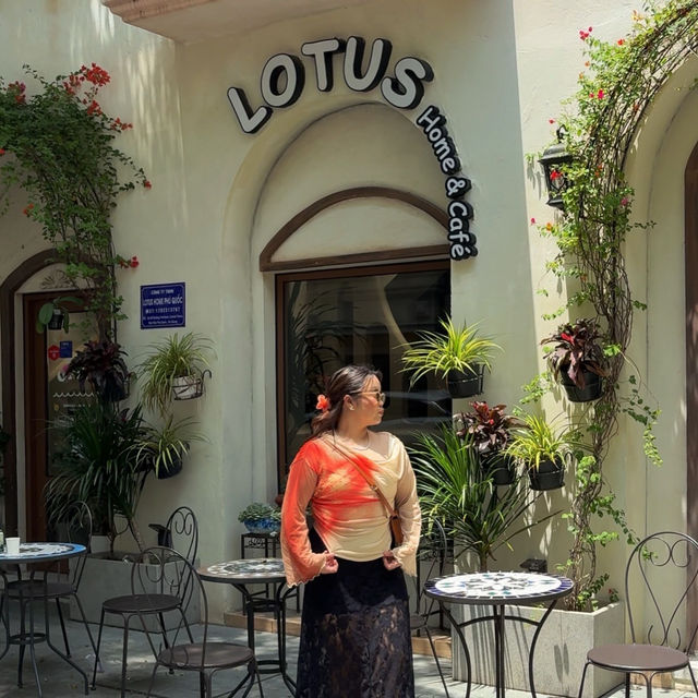Lotus Home & Cafe’☕️🍮 @SunsetTown, PQC