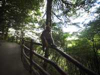 Zhangjiajie and Furong Ancient Town Highlights