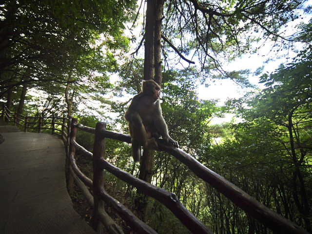 Zhangjiajie and Furong Ancient Town Highlights