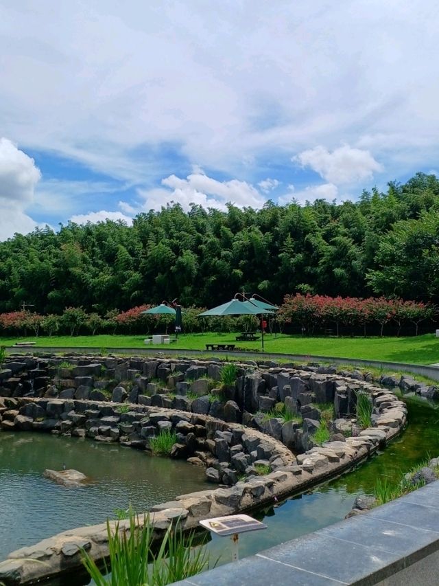 여름의 초록 파도, 태화강 국가정원 🌿 여름의 초록 파도, 태화강 국가정원 🌿