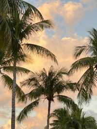 휴양지 감성을 이렇게 제대로 느낀 건 처음