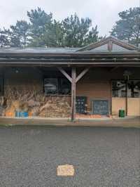 🌱雲仙のオーガニック直売所「タネト」