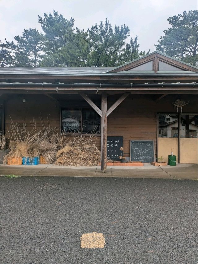 🌱雲仙のオーガニック直売所「タネト」