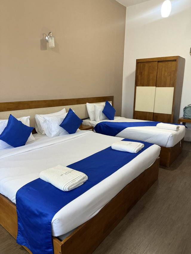 能看大象沐浴🛁的酒店🏨 旅程中最有愛的活動