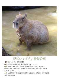 夏休みまだ間に合う！首都圏から日帰りで行ける動物園・水族館