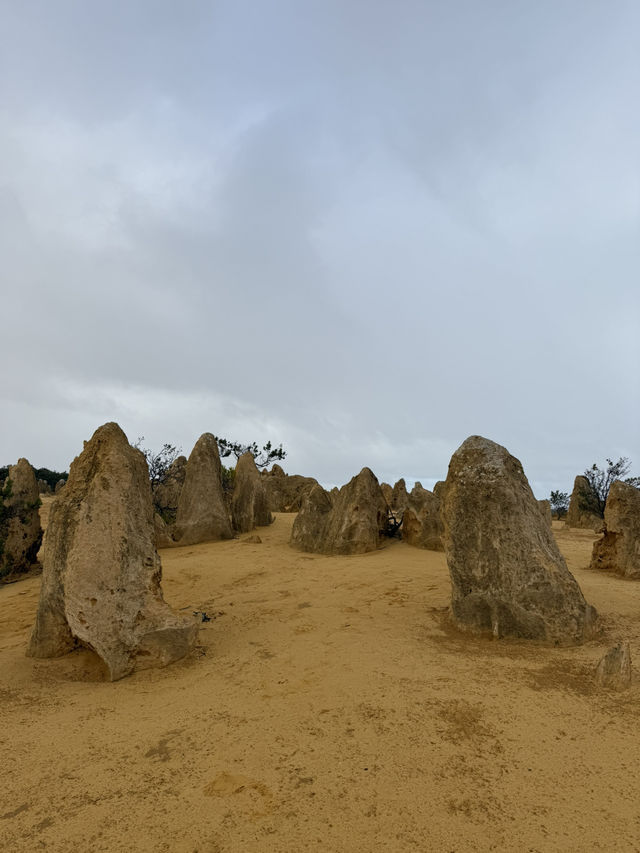 パース🇦🇺 ピナクルズ砂漠🏜️ パース🇦🇺 ピナクルズ砂漠🏜️