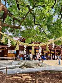 東京明治公園