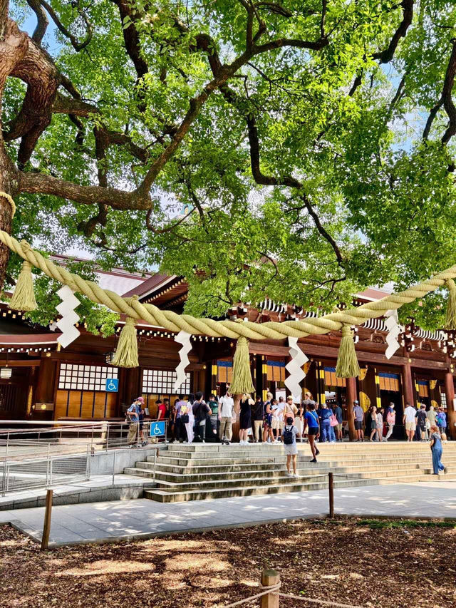 東京明治公園