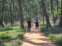 The day is nice for a stroll at Daewangam at Ulsan