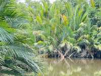 Where Nature Meets Serenity – Pulau Kerengga