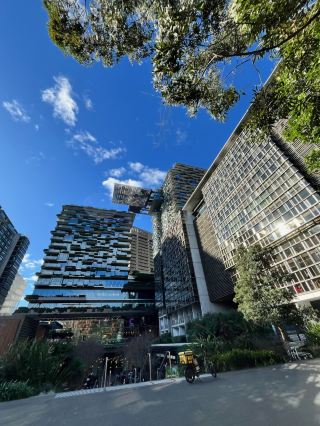 Shopping Paradise in the Urban Oasis