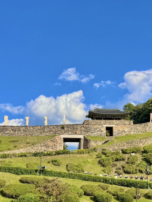 🌿 충청도 여행 (세종·공주) 