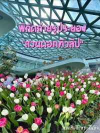 เที่ยวสวนดอกทิวลิประยอง 🌷