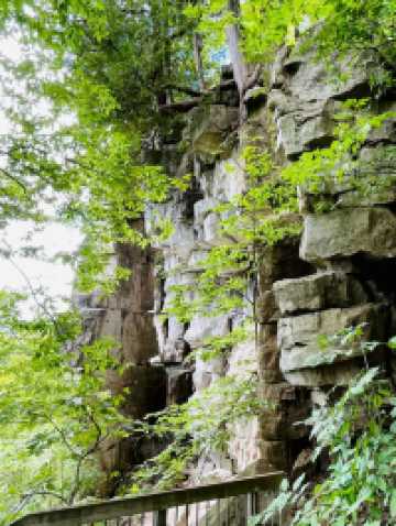 Rattlesnake Point Conservation Area – Clifftop Views and Rugged Trails