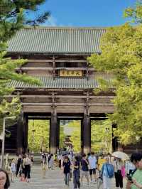나라현 도다이지사 구경🗒️🇯🇵