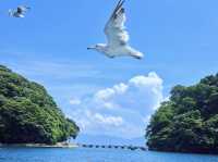 Ine Bay Kyoto 🇯🇵 สวยย So จึ้งใจมากกก 🩵