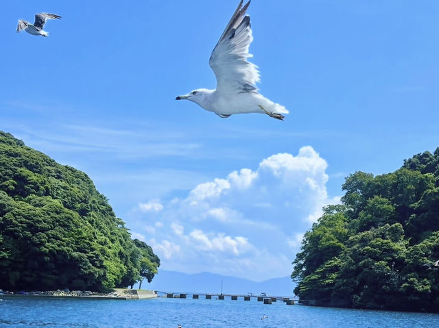 Ine Bay Kyoto 🇯🇵 สวยย So จึ้งใจมากกก 🩵