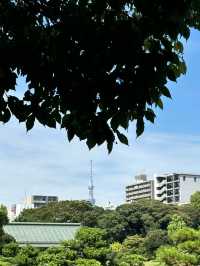 Kiyosumi Gardens: A Tranquil Japanese Garden in Tokyo