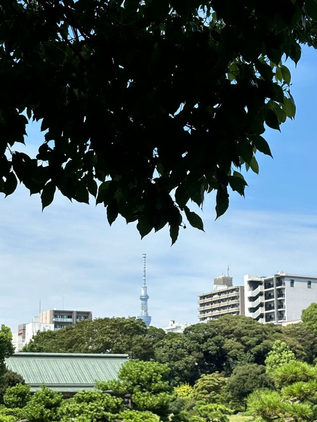 Kiyosumi Gardens: A Tranquil Japanese Garden in Tokyo