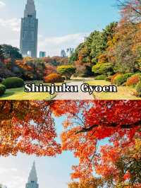 ShinjukuGyoen 
