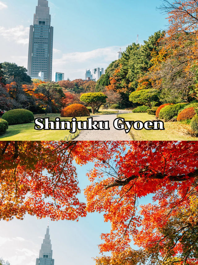 ShinjukuGyoen 