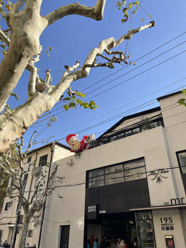 🌳 Anfu Road – Shanghai (安福路)