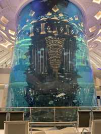 “Good vibes & ocean tides.”