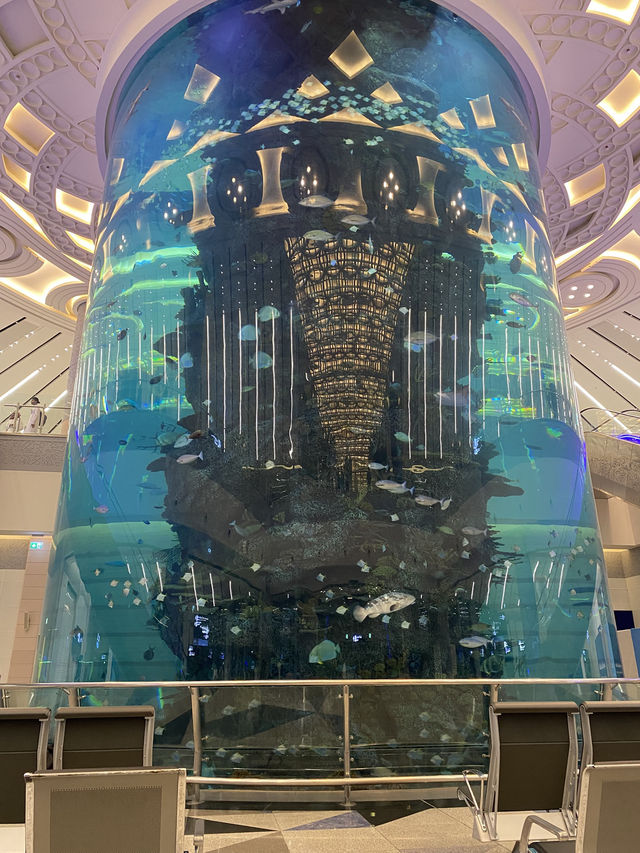 “Good vibes & ocean tides.”