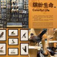เยี่ยมชม Shanghai Natural History Museum 🦋