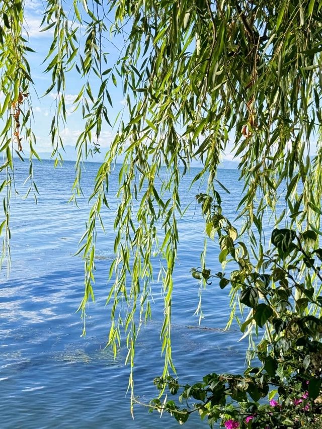 The Blue Soul of Dali: Erhai Lake