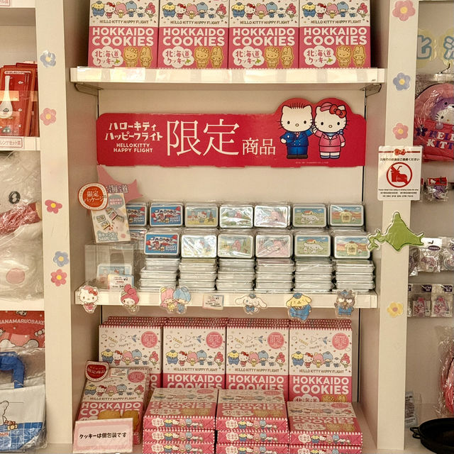 【新千歳空港】充実の国際線で旅のワクワク倍増✈️