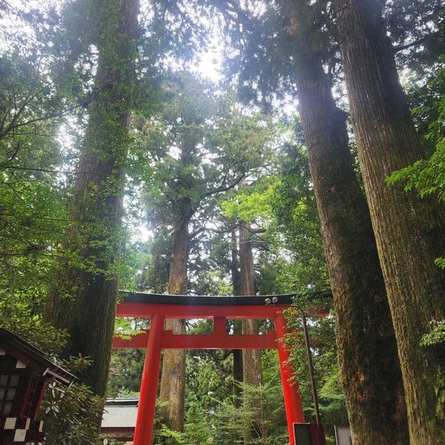 Epic Mt. Fuji Day Trip: Pirate Boats, Black Eggs & Swan Lake Vibes 🇯🇵🗻