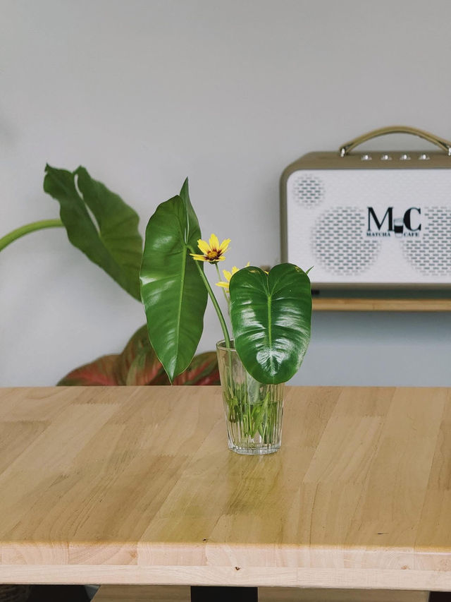 Matcha CAFE 🏡 ☕️ 🍵 Matcha CAFE 🏡 ☕️ 🍵