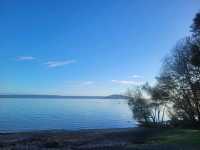 Quiet morning walk along Lake Rotorua boardwalk and Government Gardens