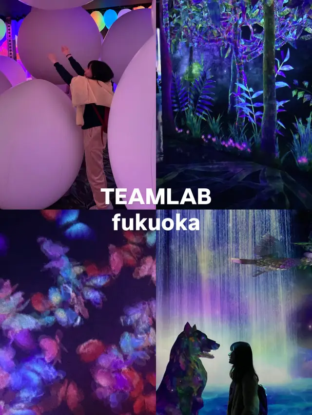 teamLab Forest Fukuoka