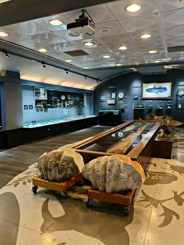 需提前預約的屏東海生館後場參訪!