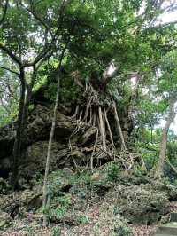 墾丁國家森林遊樂園